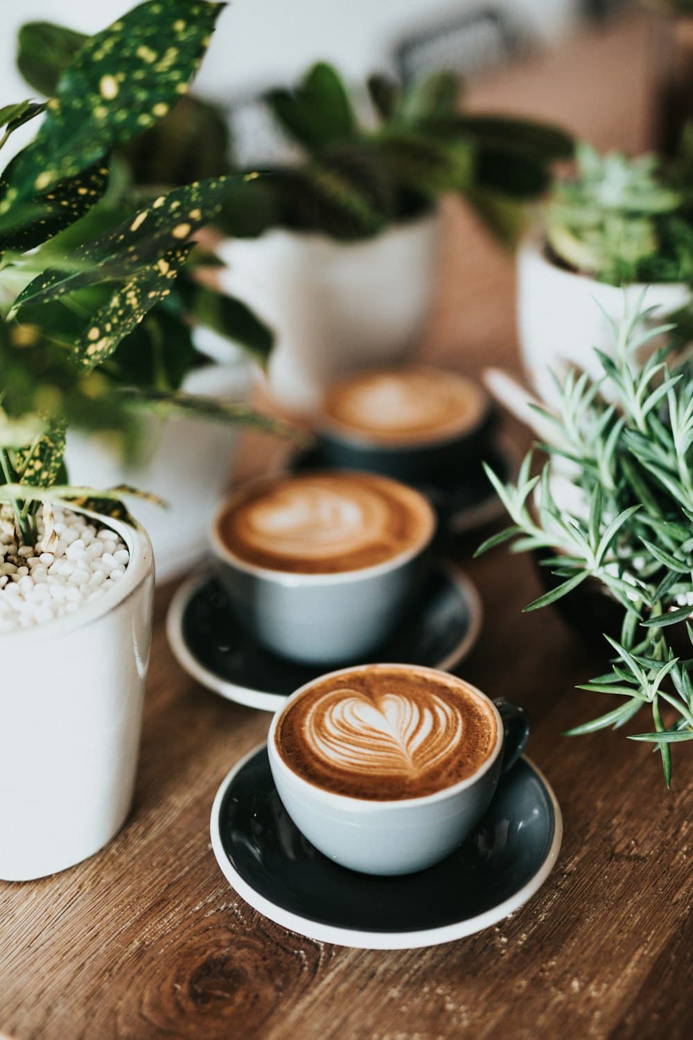 A cup of KAPI coffee